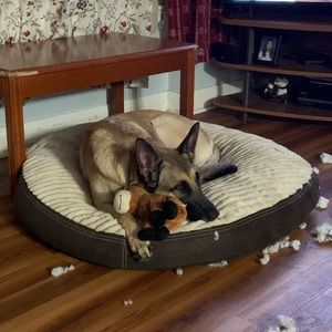 Meet your Posher, Maria gracia